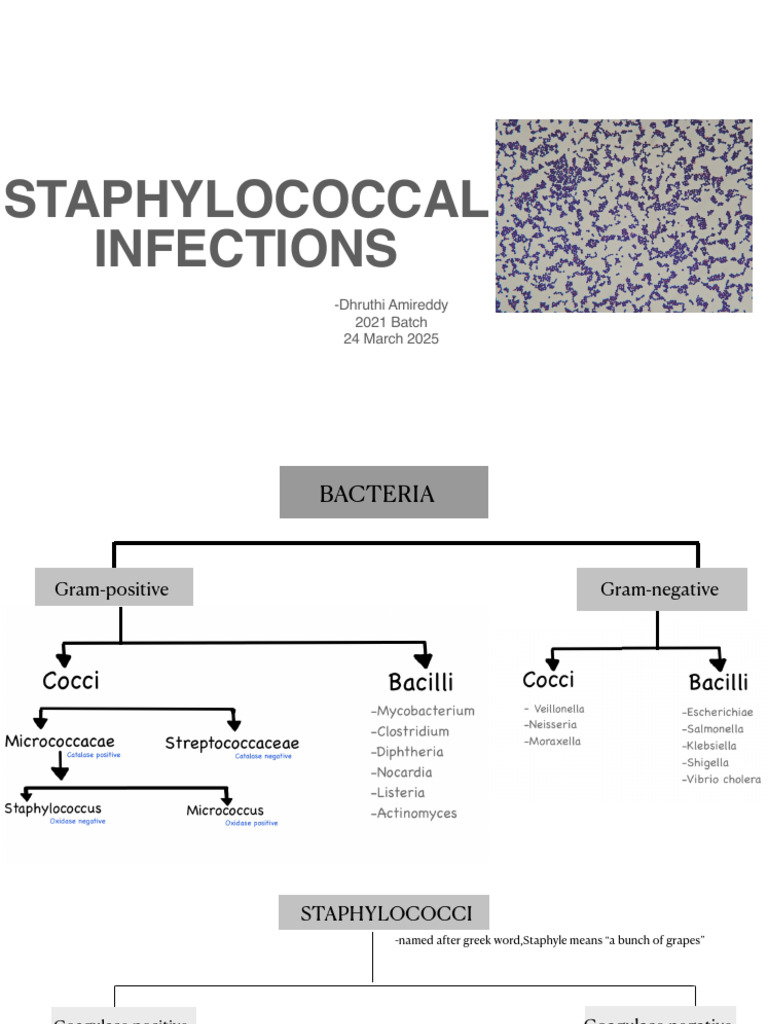 Staphylococcal Infections | PDF | Staphylococcus | Staphylococcus Aureus
