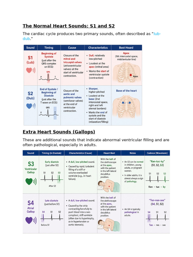 Cardiac Sounds | PDF