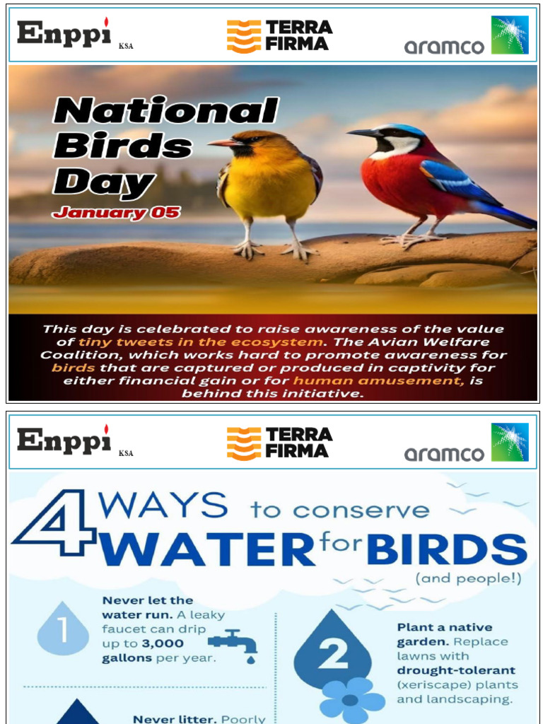Birds Signage | PDF