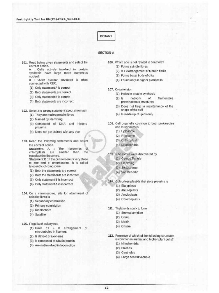 FT Cell Test Paper | PDF