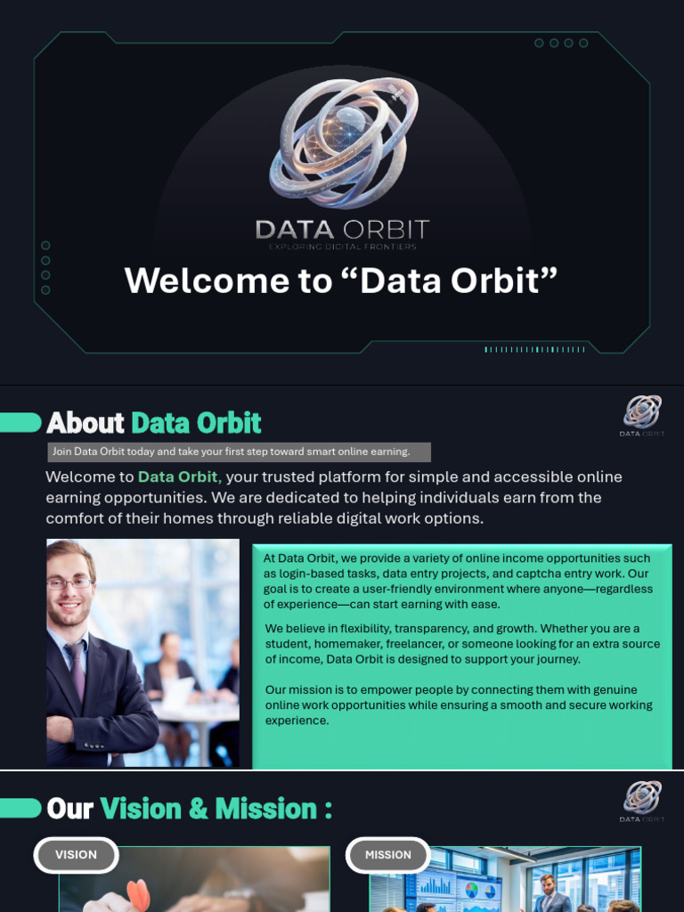 Data Orbit Business PLan-2 | PDF | Usability | Computing