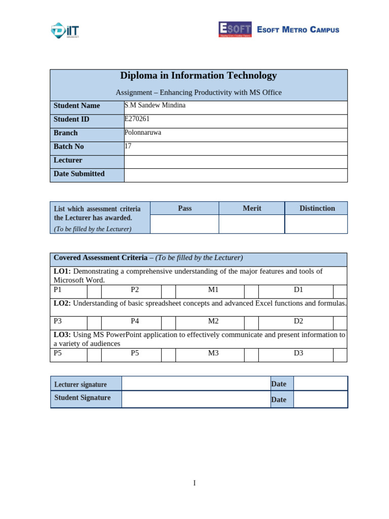 Assignment 1 | PDF | Macro (Computer Science) | Microsoft Excel