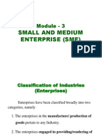 Module 3 Small &amp; Medium Enterprises