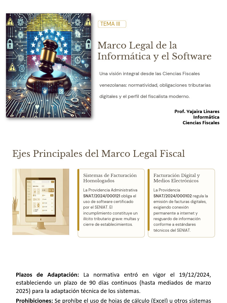 Marco Legal de La Informatica y El Software | PDF | Impuestos | Cibercrimen