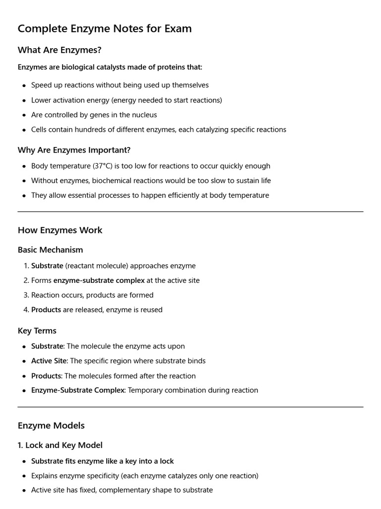 Complete Enzyme Notes for Exam | PDF | Enzyme | Active Site