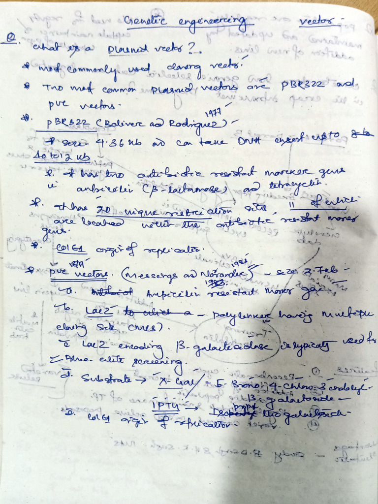 gpb 501 sir notes (1) | PDF