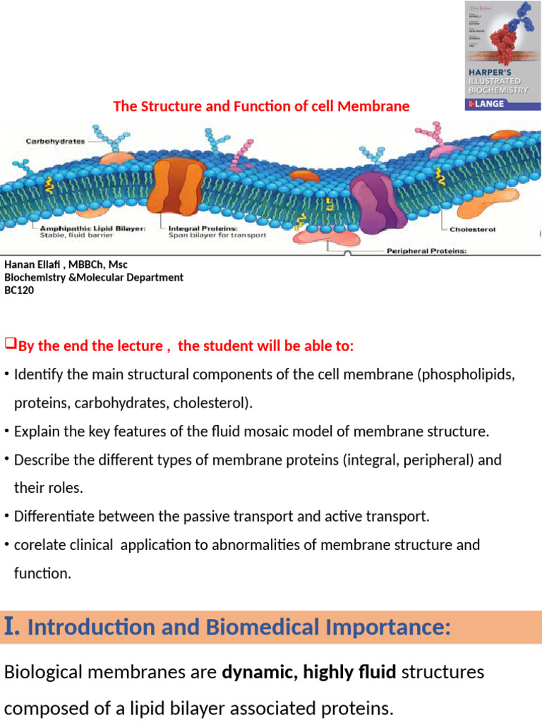 Structure &Function of Cell Membrane BC120 | PDF | Cell Membrane ...