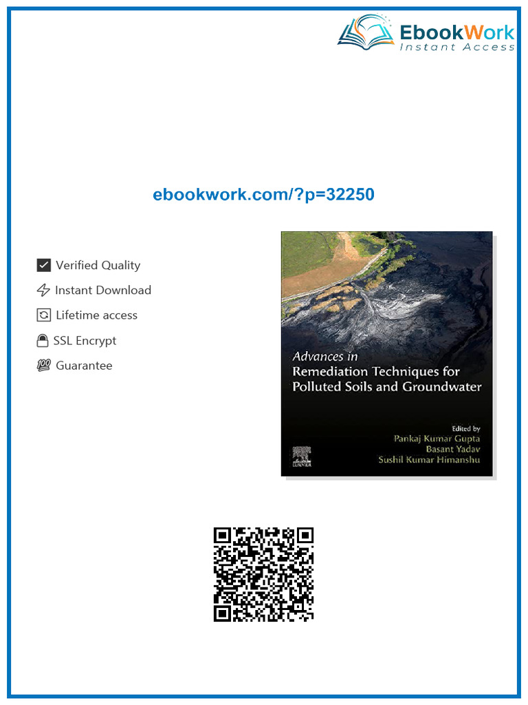Advances in Remediation Techniques for Polluted Soils and Groundwater ...