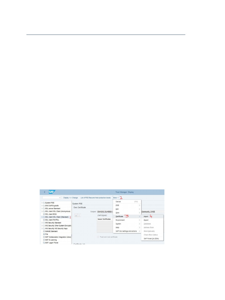 Sap s4h (Idoc) To Sap Cpi - Inbound Idoc Interface | PDF