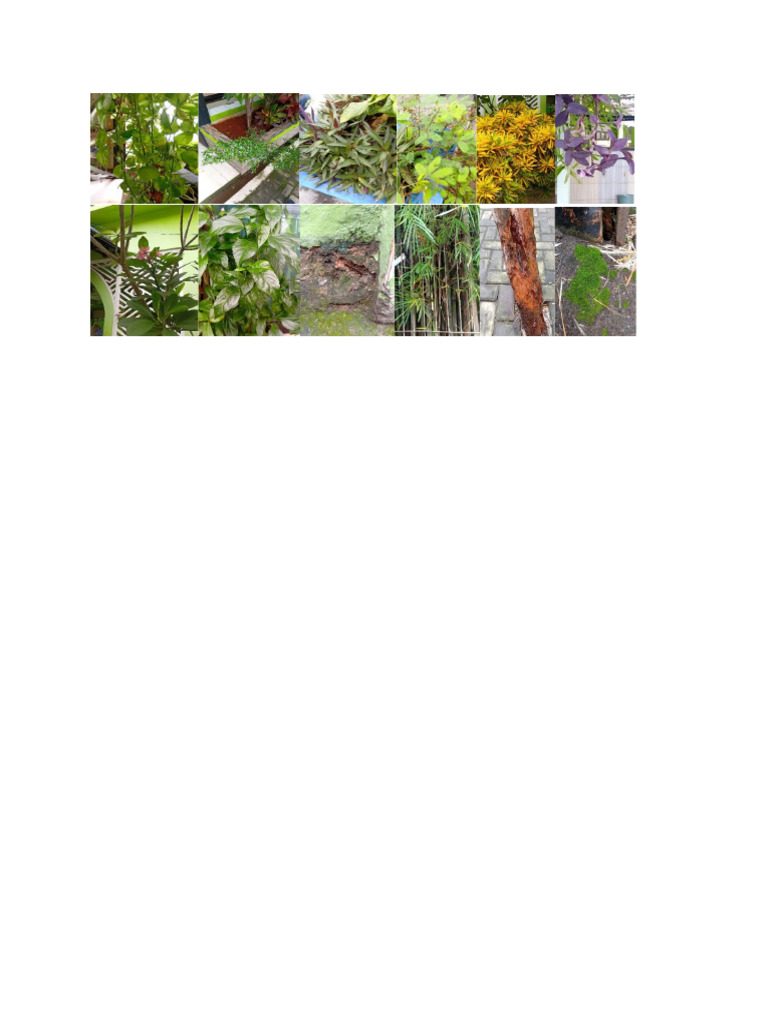 Nature | PDF
