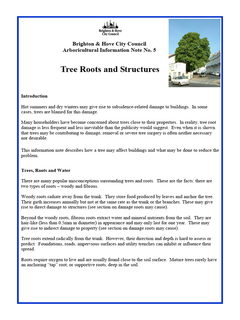Tree Roots and Structures | PDF | Root | Trees