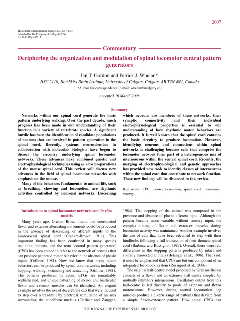 Deciphering the organization and modulation of spinal locomotor central ...