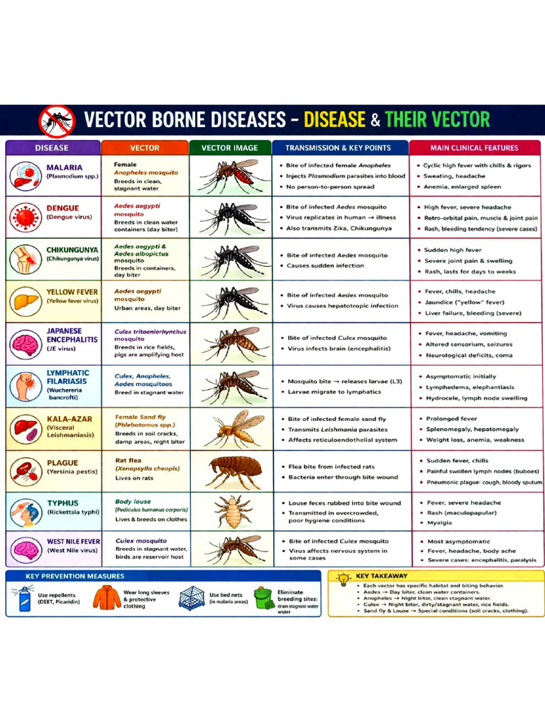 Vector Borne Disease | PDF