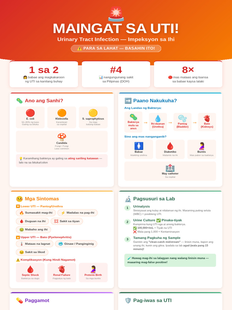 UTI Infographic v2 | PDF