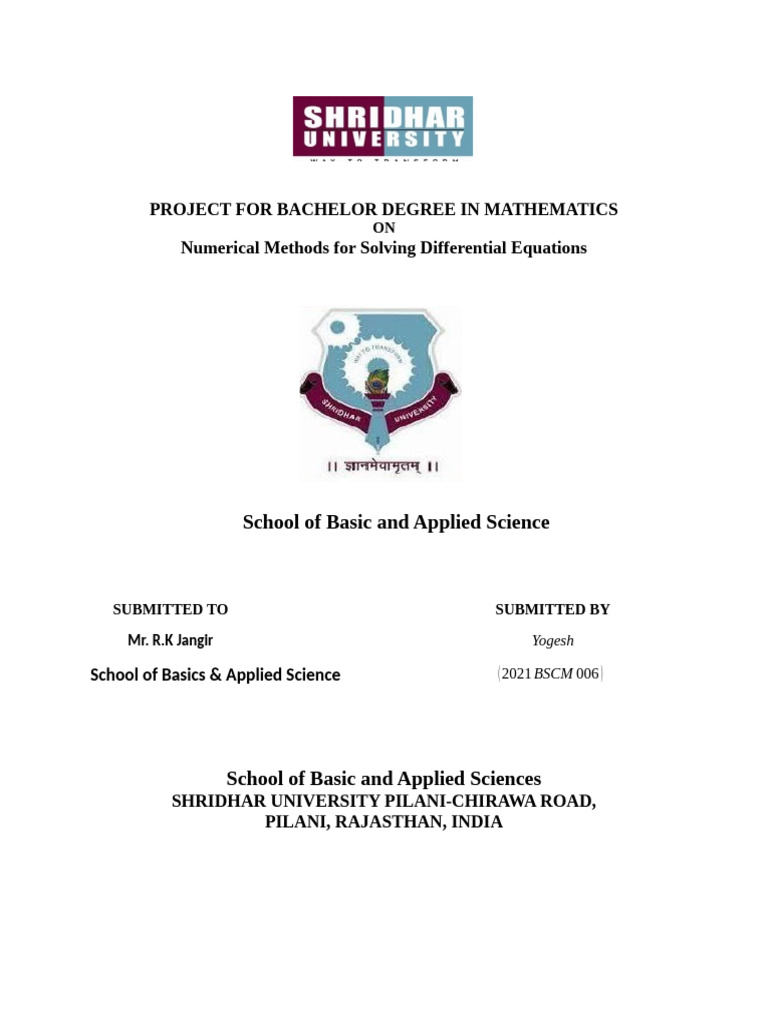 Project for Bachelor Degree in Mathematics | PDF | Cognition