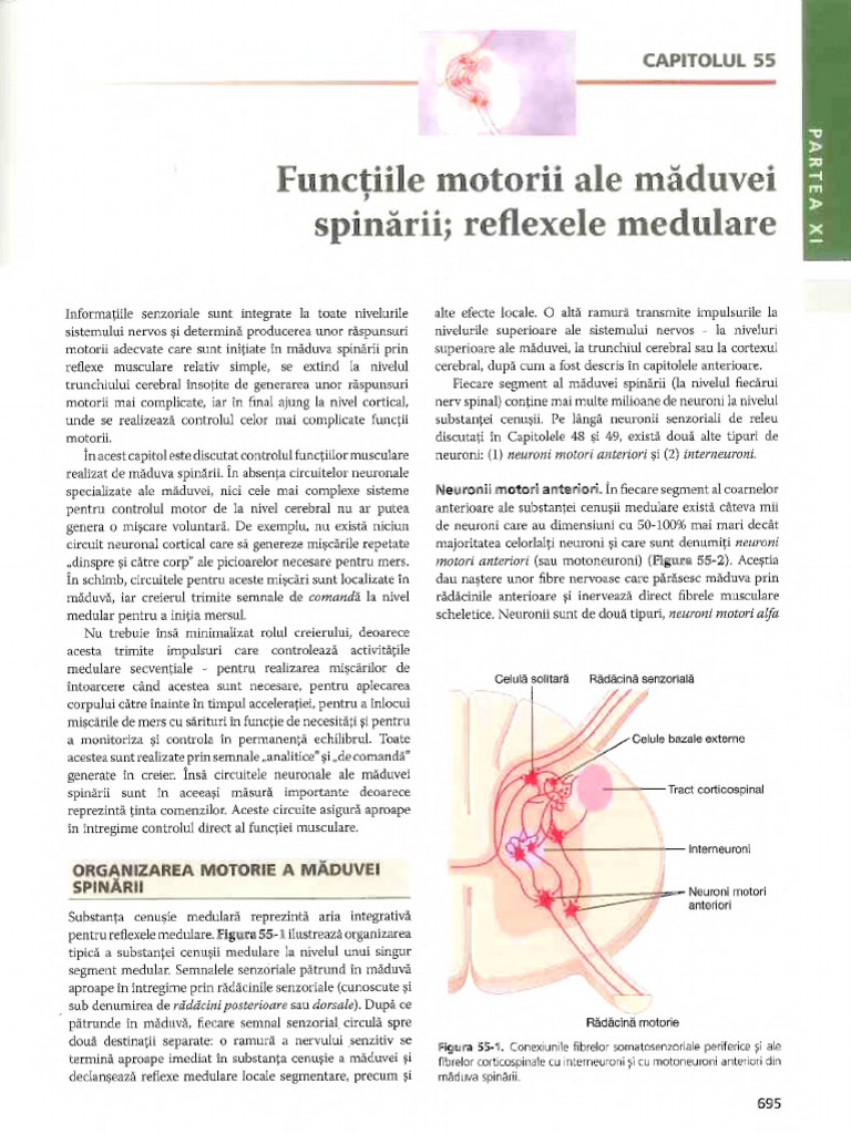 Tema 2 | PDF