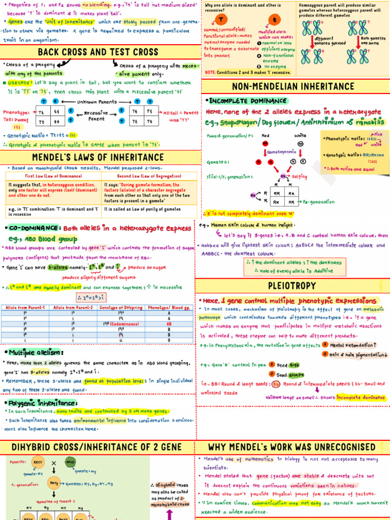 Biology Notes | PDF