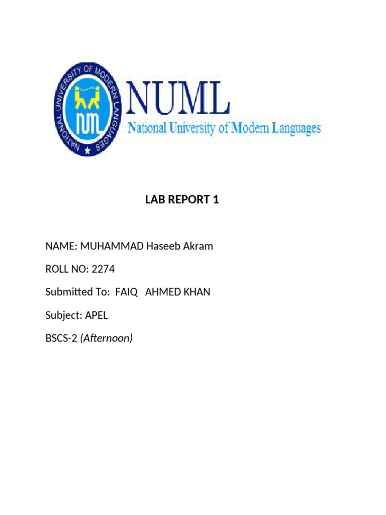 Lab Report 1 Haseeb | PDF