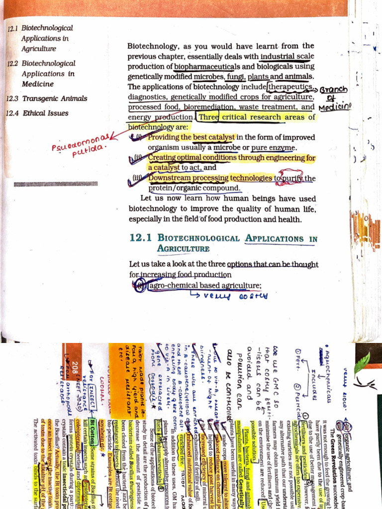 Biotechnology and Its Application | PDF