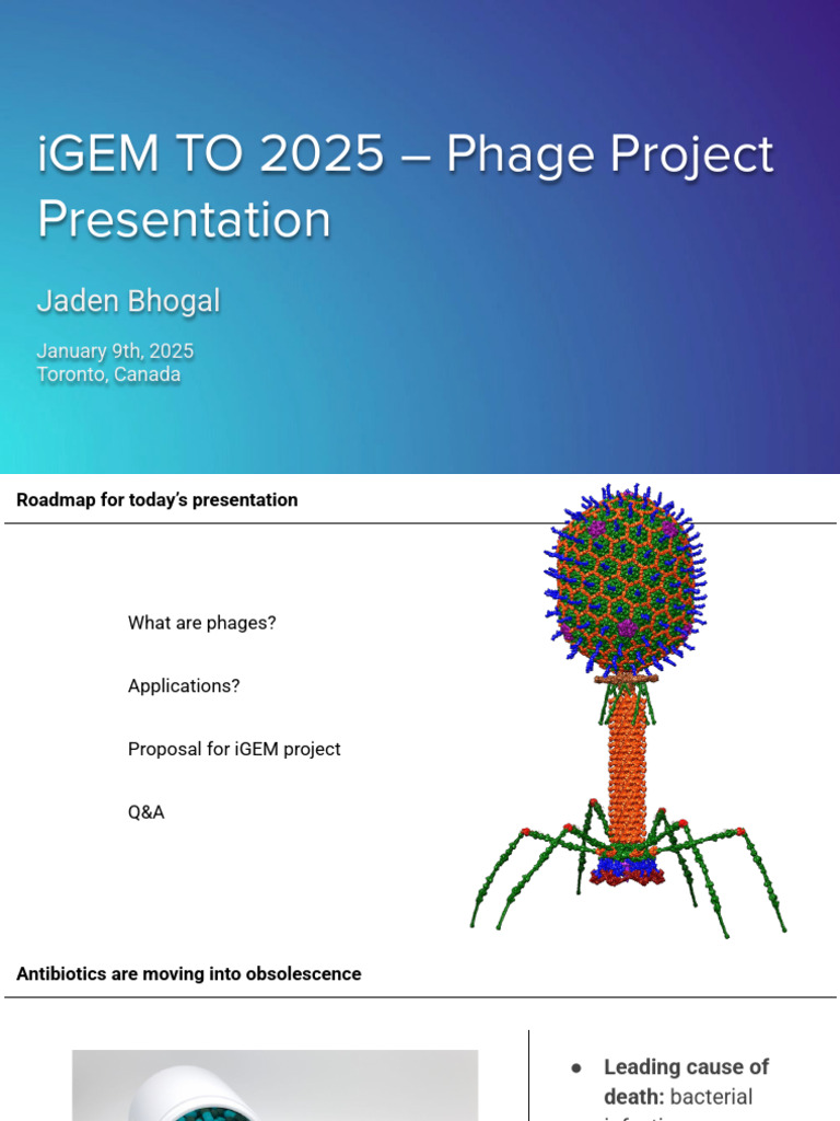 Phage Project Pitch - IGEM to 2025 | PDF | Bacteriophage | Bacteria