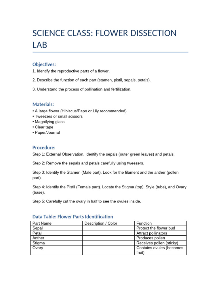 Science Flower Lab Worksheets | PDF
