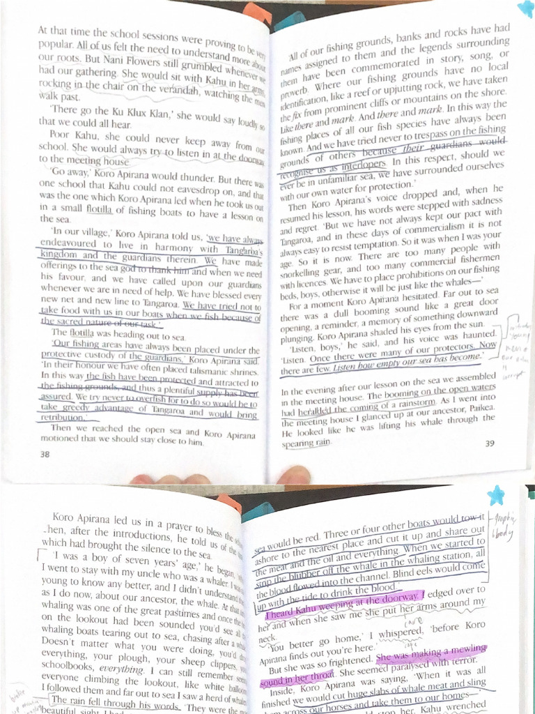 Whale Rider P2 | PDF