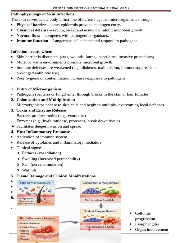 Pathophysiology of Skin Infections | PDF
