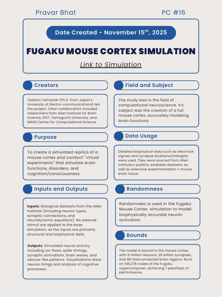 Simulation Project Infographic | PDF