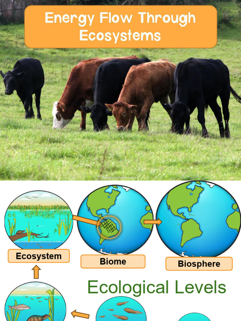 Unit 8 Topic 2 Notes | PDF