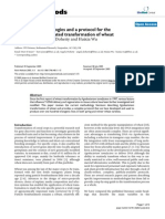 Review of Methodologies and A Protocol For The Agrobacterium-Mediated Transformation of Wheat