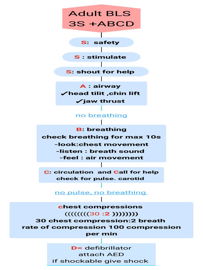 Adult BLS 3S +ABCD_59f170f2-6318-4d19-90e4-89affde6c963 | PDF