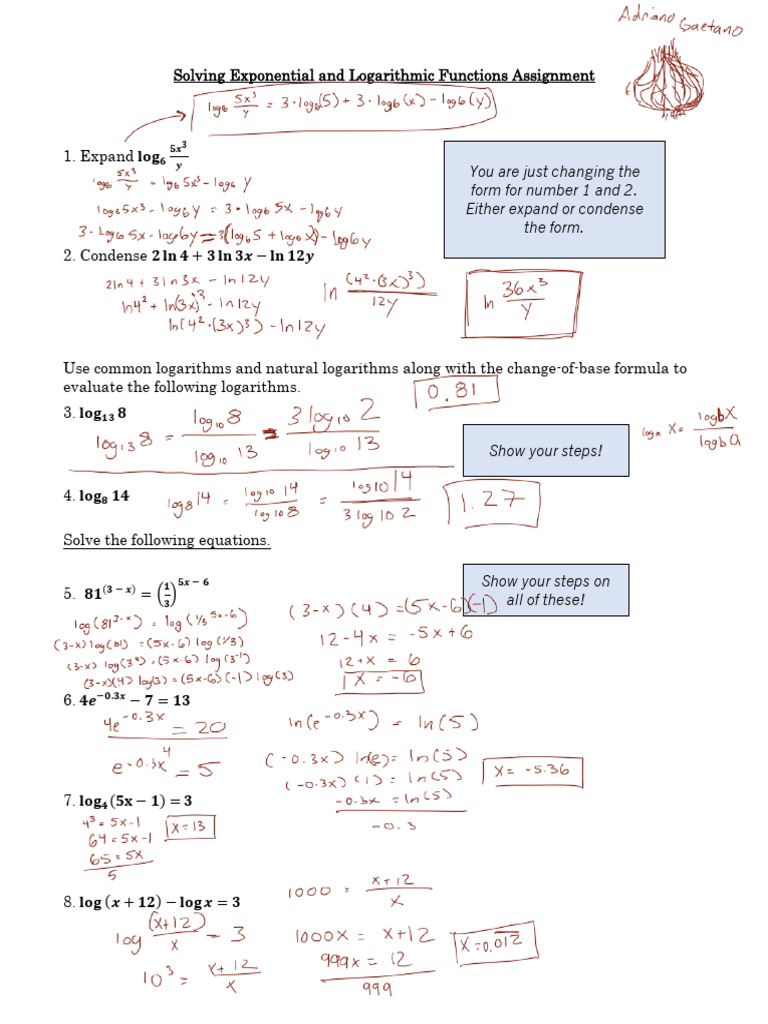 Solving Exponential and Logarithmic Functions Assignment Adriana | PDF
