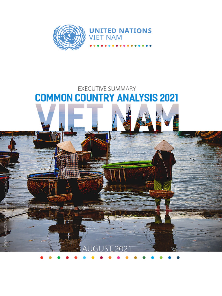 UN Common Country Analysis - Viet Nam 2021 | PDF | Poverty | Poverty ...