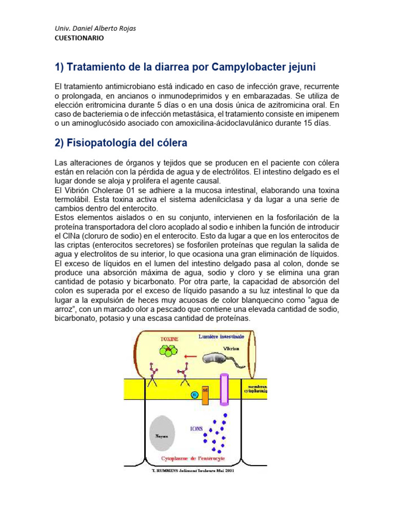 Cuestionario - Daniel Alberto Rojas | PDF | Salmonela | Microbiología