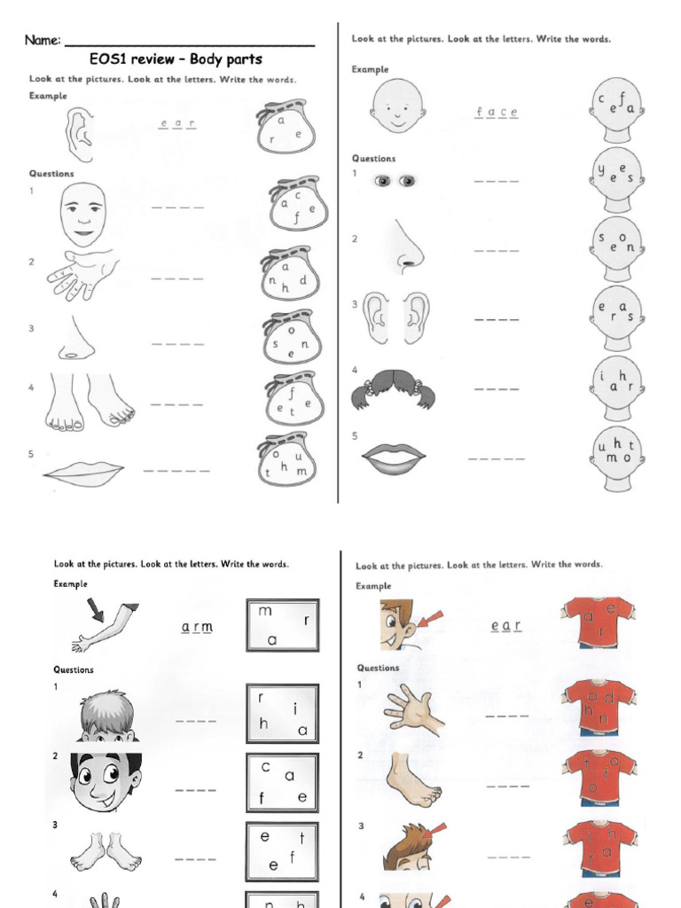 Practice Test - Body Parts - School - Family | PDF