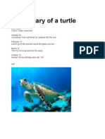 Diary of A Turtle
