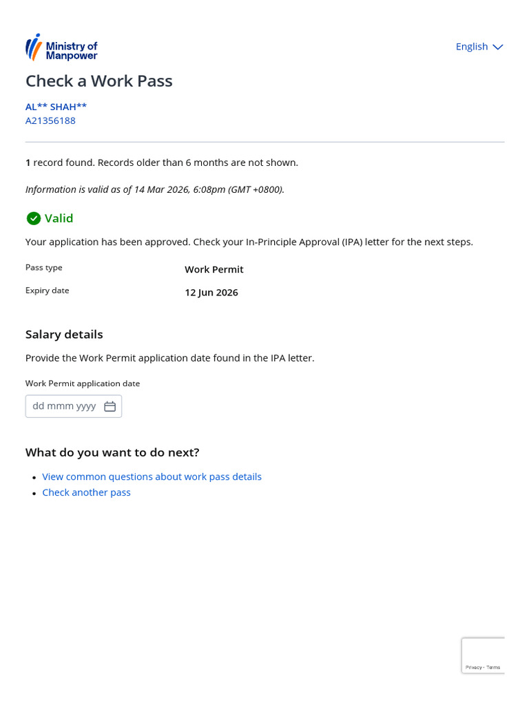 MOM _ Check a Work Pass | PDF
