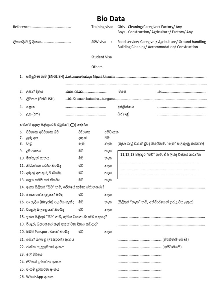 new cv -format (1) | PDF