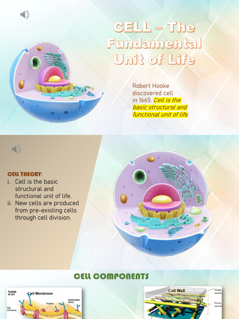 Cell Notes | PDF | Cell (Biology) | Endoplasmic Reticulum