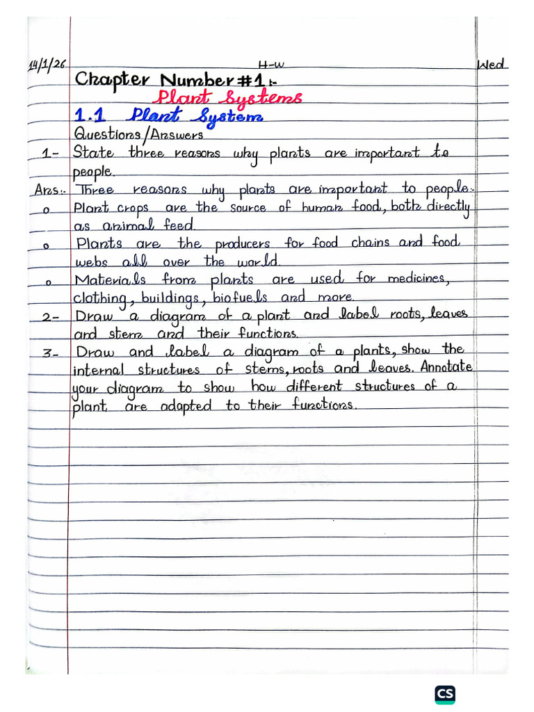 Science Chapter 1 | PDF