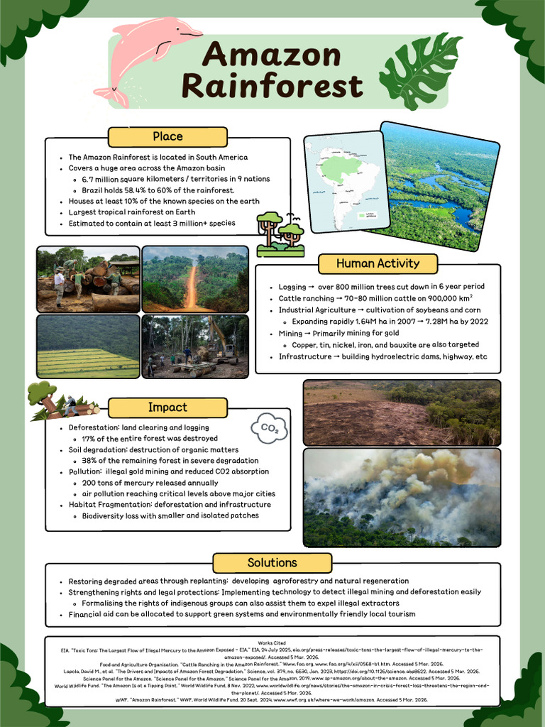 Amazon Rainforest | PDF | Amazon Rainforest | Deforestation