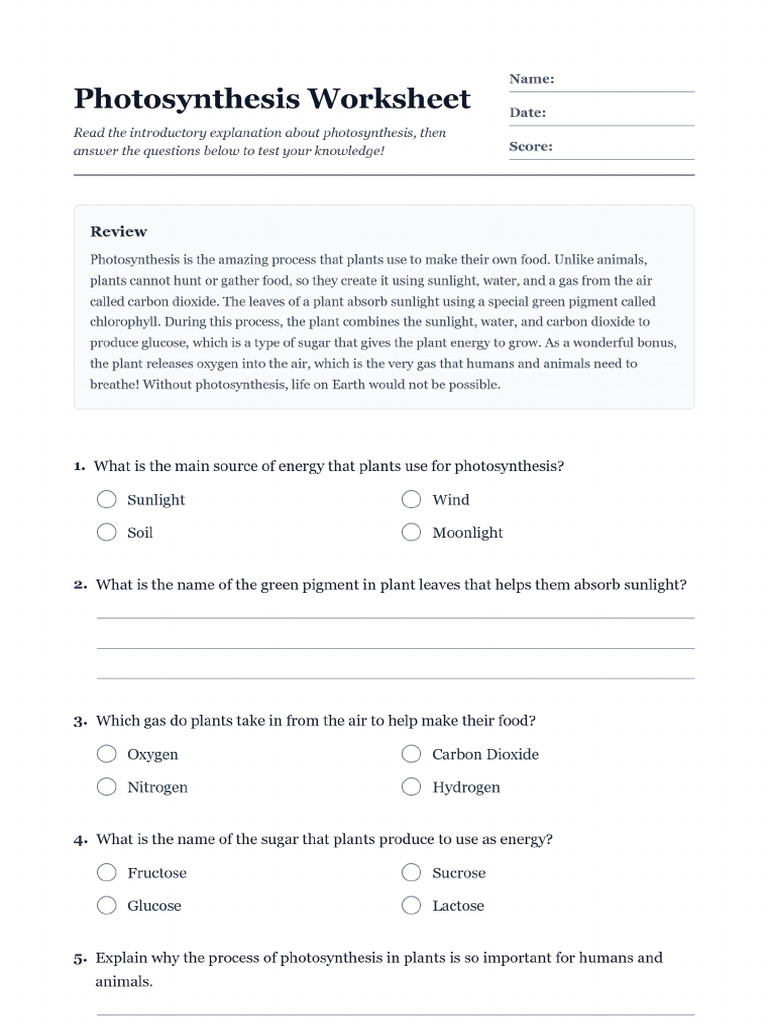 Photosynthesis Worksheet | PDF
