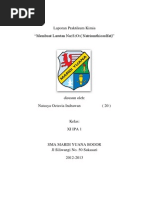 Download Laporan Kimia - Membuat Larutan by Natasya Octavia Indrawan SN103778659 doc pdf