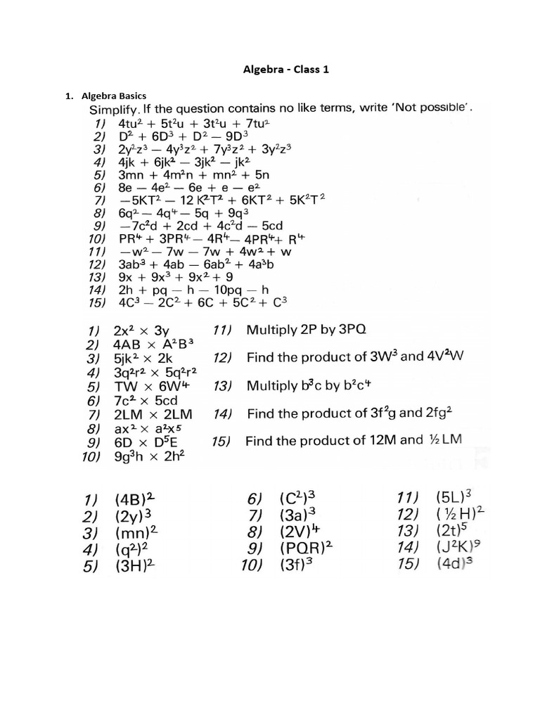 Algebra Class 1 | PDF