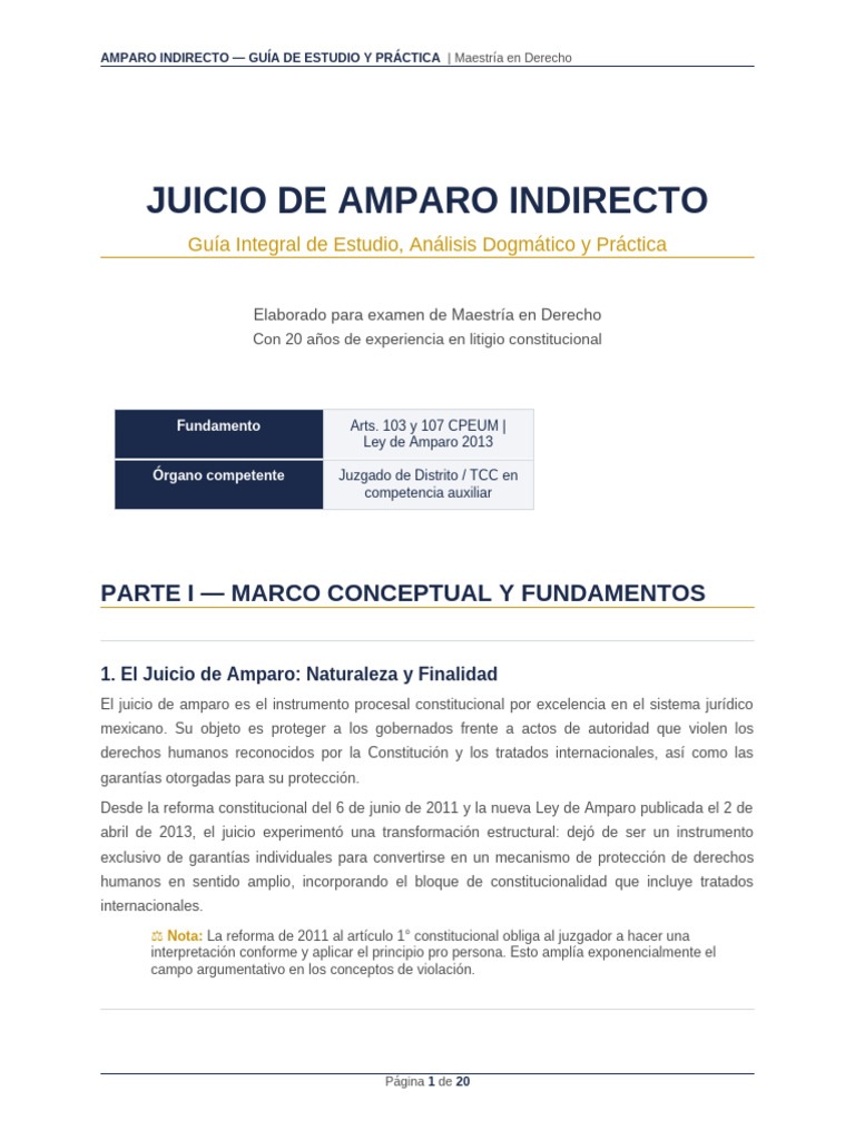 Amparo Indirecto Guia Completa | PDF | Violación | Caso de ley