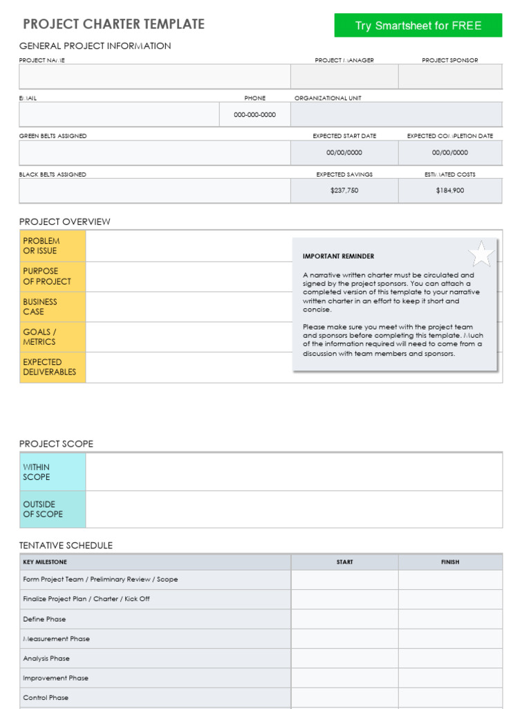 IC Project Charter 8556_WORD (1) (2) | PDF | Reliability Engineering ...