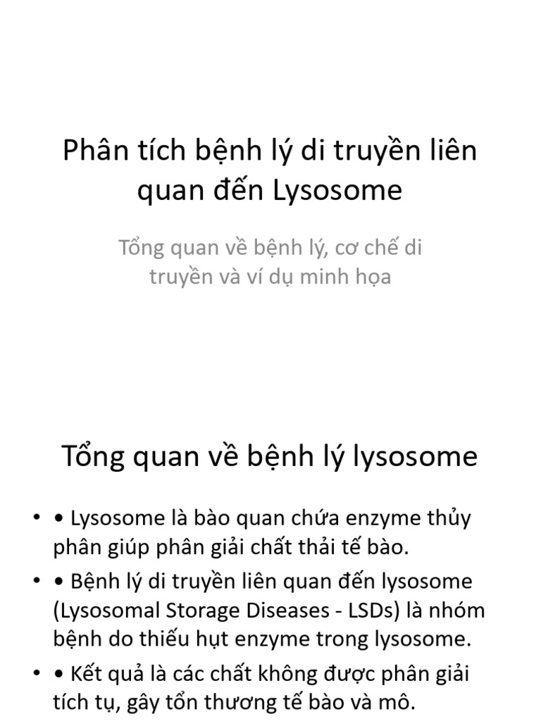 Phan Tich Benh Ly Lysosome 1 | PDF