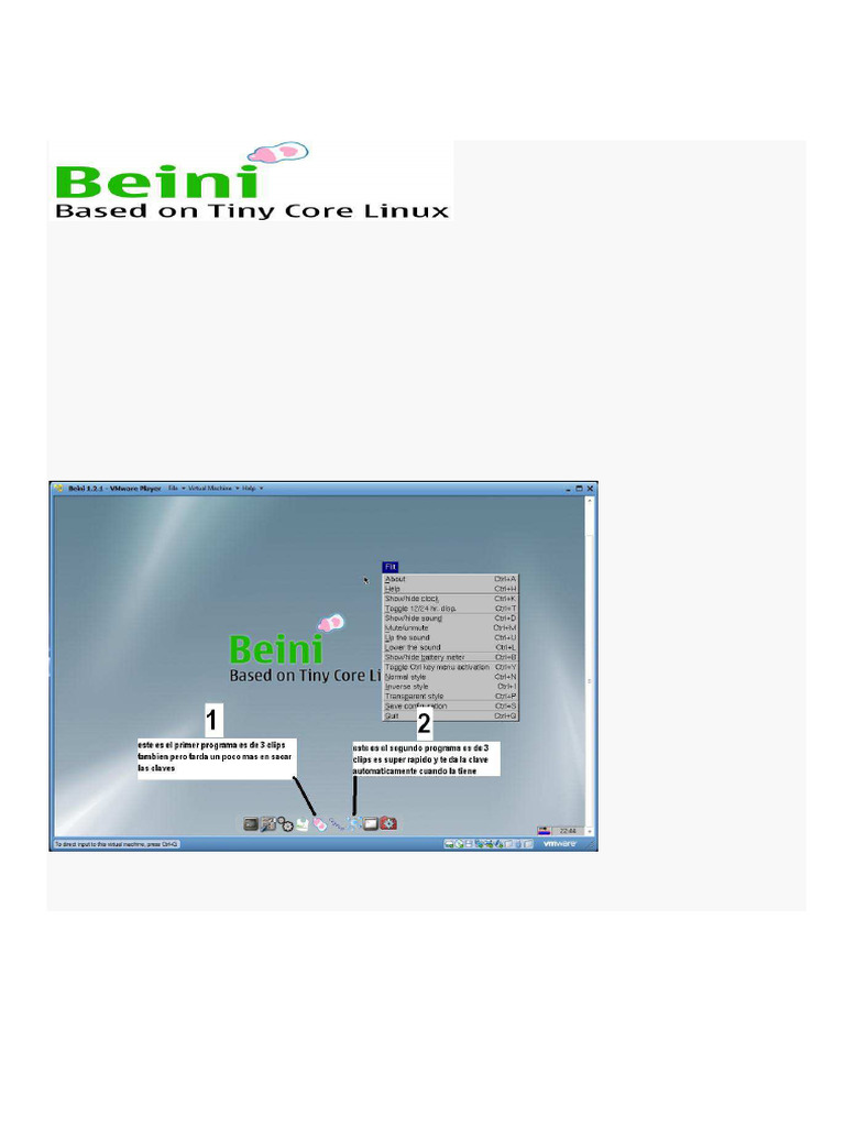 Beini | PDF