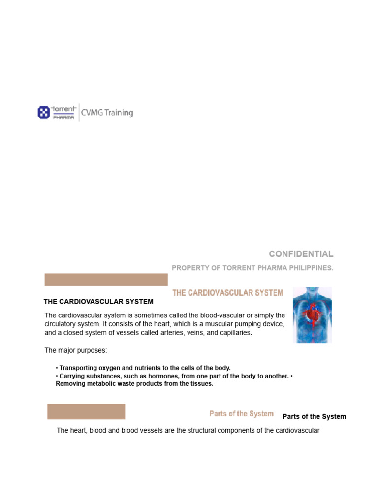 Module 1 Cardiovascular Anatomy and Physiology | PDF | Heart Valve | Heart
