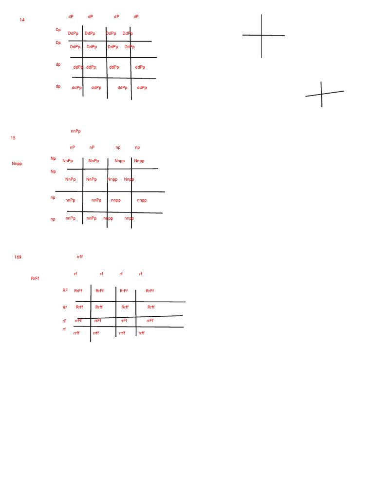Kami Export - Blank | PDF